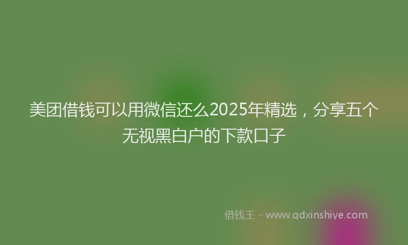 美团借钱可以用微信还么2025年精选，分享五个无视黑白户的下款口子