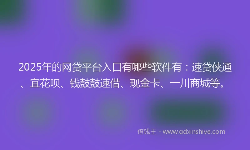 2025年的网贷平台入口有哪些软件有：速贷侠通、宜花呗、钱鼓鼓速借、现金卡、一川商城等。