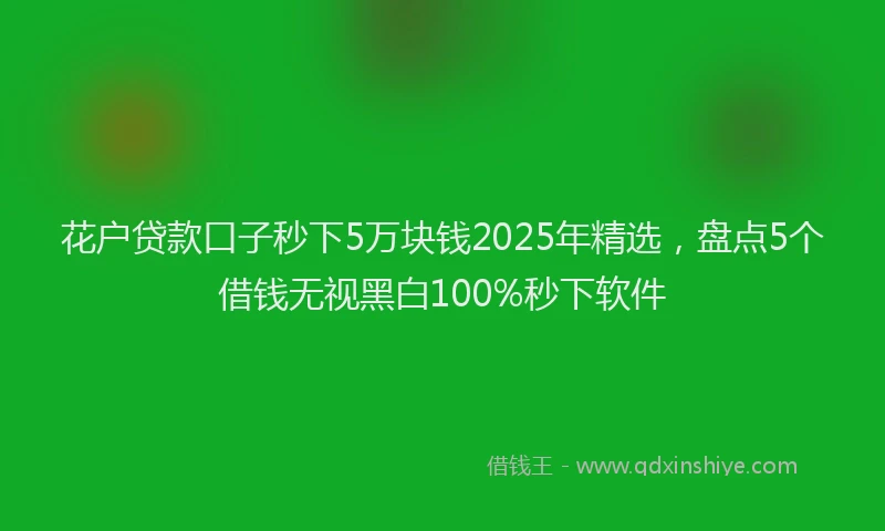 花户贷款口子秒下5万块钱2025年精选，盘点5个借钱无视黑白100%秒下软件