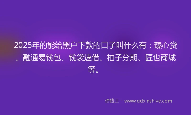 2025年的能给黑户下款的口子叫什么有：臻心贷、融通易钱包、钱袋速借、柚子分期、匠也商城等。