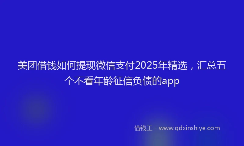 美团借钱如何提现微信支付2025年精选，汇总五个不看年龄征信负债的app