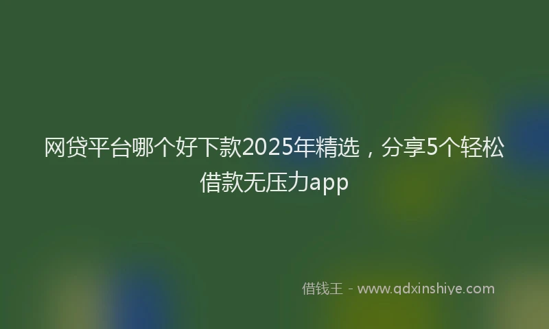 网贷平台哪个好下款2025年精选，分享5个轻松借款无压力app