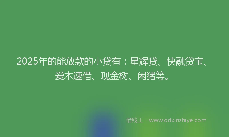2025年的能放款的小贷有：星辉贷、快融贷宝、爱木速借、现金树、闲猪等。