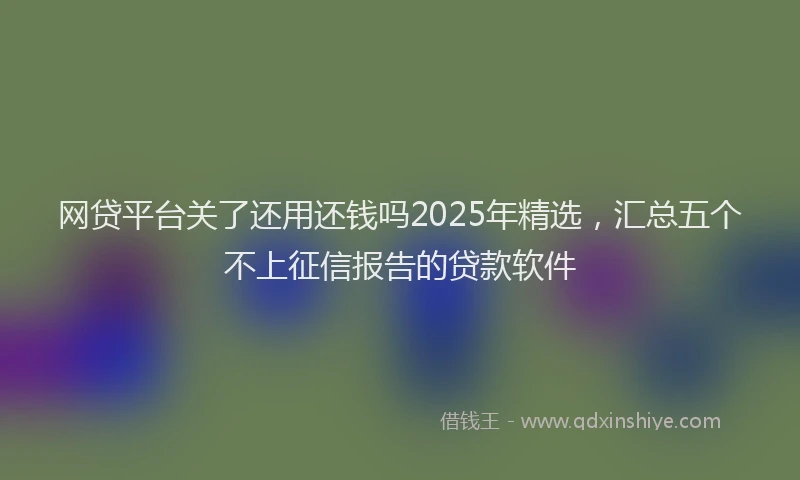 网贷平台关了还用还钱吗2025年精选，汇总五个不上征信报告的贷款软件