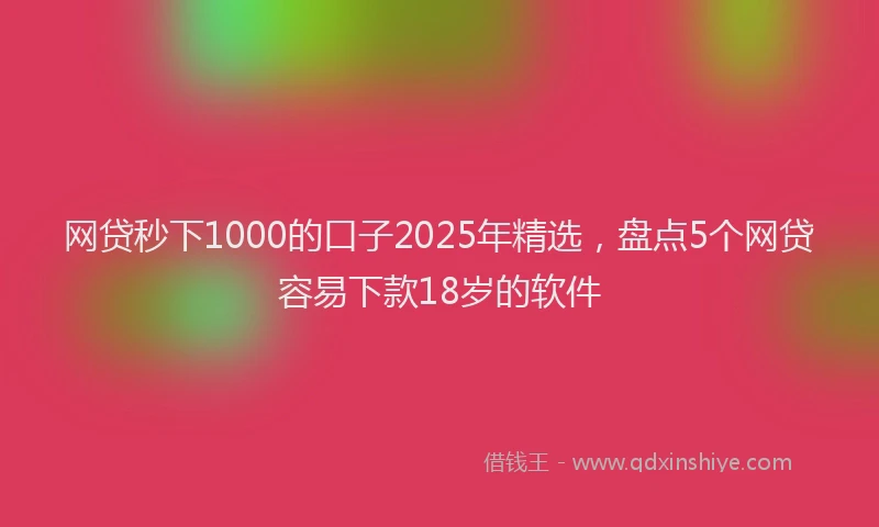 网贷秒下1000的口子2025年精选，盘点5个网贷容易下款18岁的软件