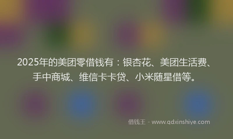 2025年的美团零借钱有：银杏花、美团生活费、手中商城、维信卡卡贷、小米随星借等。
