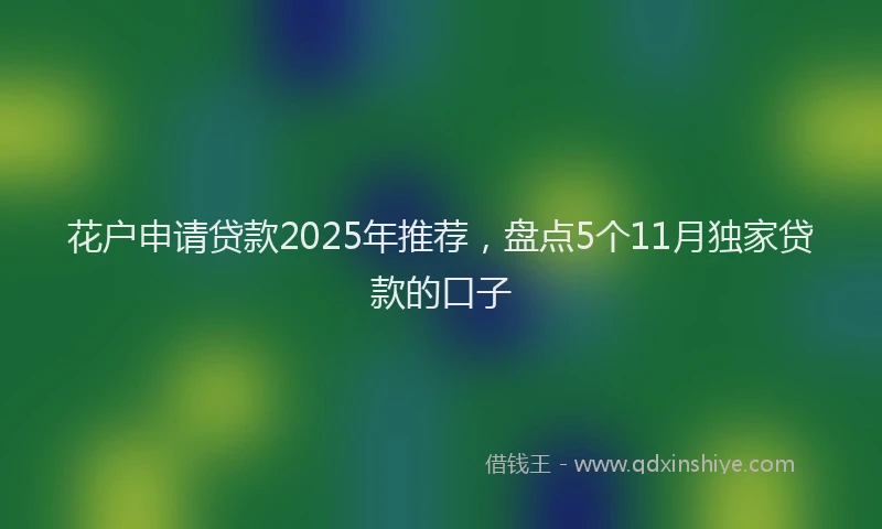 花户申请贷款2025年推荐，盘点5个11月独家贷款的口子