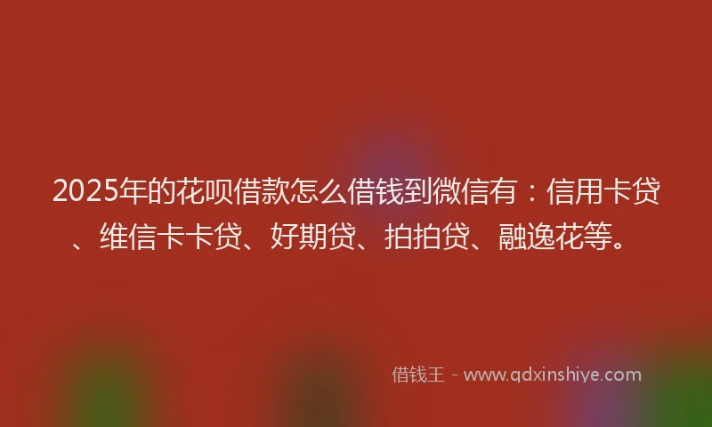 2025年的花呗借款怎么借钱到微信有：信用卡贷、维信卡卡贷、好期贷、拍拍贷、融逸花等。