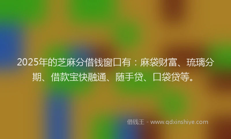 2025年的芝麻分借钱窗口有：麻袋财富、琉璃分期、借款宝快融通、随手贷、口袋贷等。
