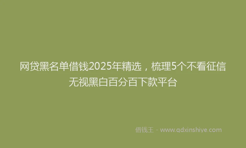 网贷黑名单借钱2025年精选，梳理5个不看征信无视黑白百分百下款平台
