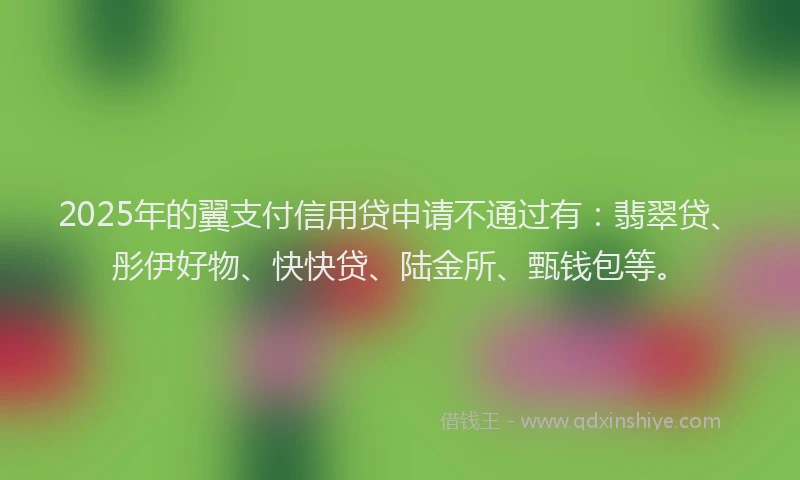 2025年的翼支付信用贷申请不通过有：翡翠贷、彤伊好物、快快贷、陆金所、甄钱包等。