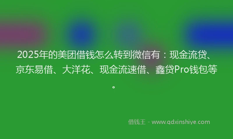 2025年的美团借钱怎么转到微信有：现金流贷、京东易借、大洋花、现金流速借、鑫贷Pro钱包等。