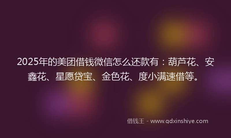 2025年的美团借钱微信怎么还款有：葫芦花、安鑫花、星愿贷宝、金色花、度小满速借等。
