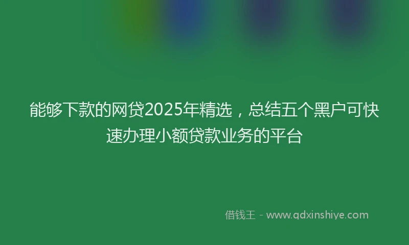 能够下款的网贷2025年精选，总结五个黑户可快速办理小额贷款业务的平台