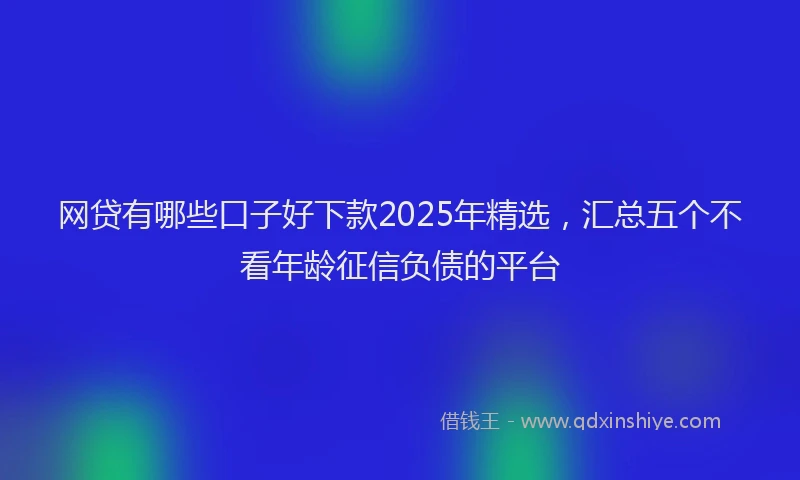 网贷有哪些口子好下款2025年精选，汇总五个不看年龄征信负债的平台