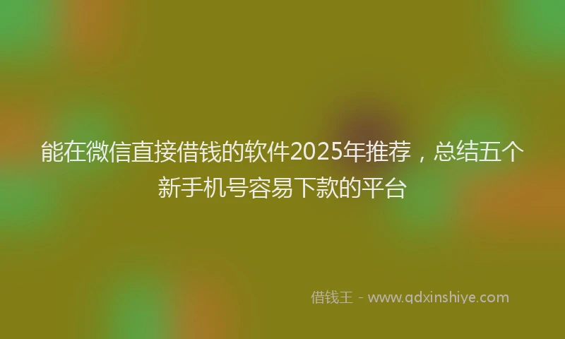 能在微信直接借钱的软件2025年推荐，总结五个新手机号容易下款的平台