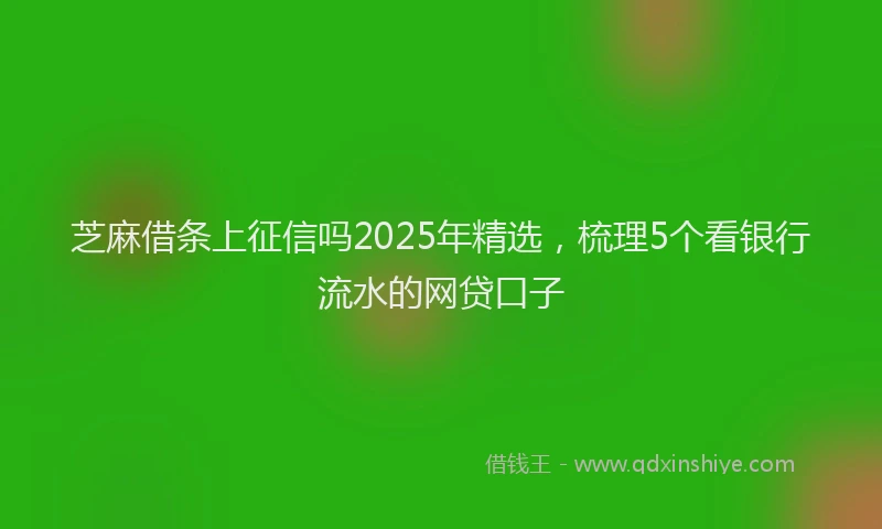 芝麻借条上征信吗2025年精选，梳理5个看银行流水的网贷口子