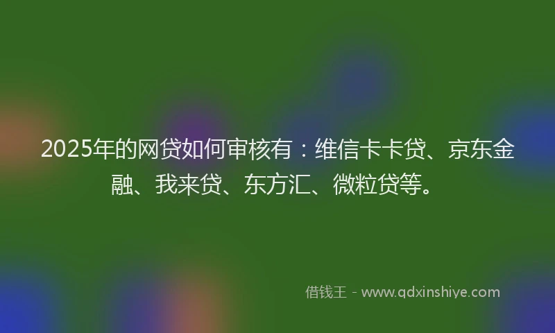 2025年的网贷如何审核有：维信卡卡贷、京东金融、我来贷、东方汇、微粒贷等。