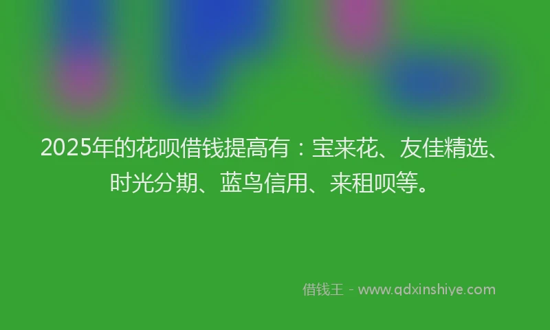 2025年的花呗借钱提高有：宝来花、友佳精选、时光分期、蓝鸟信用、来租呗等。