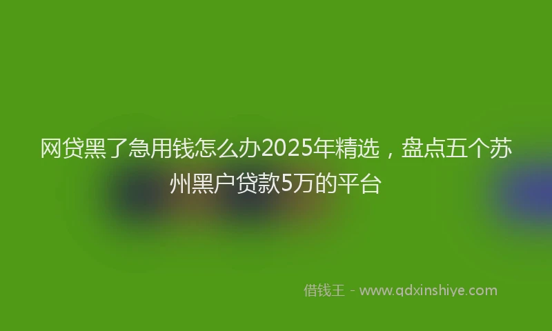 网贷黑了急用钱怎么办2025年精选，盘点五个苏州黑户贷款5万的平台