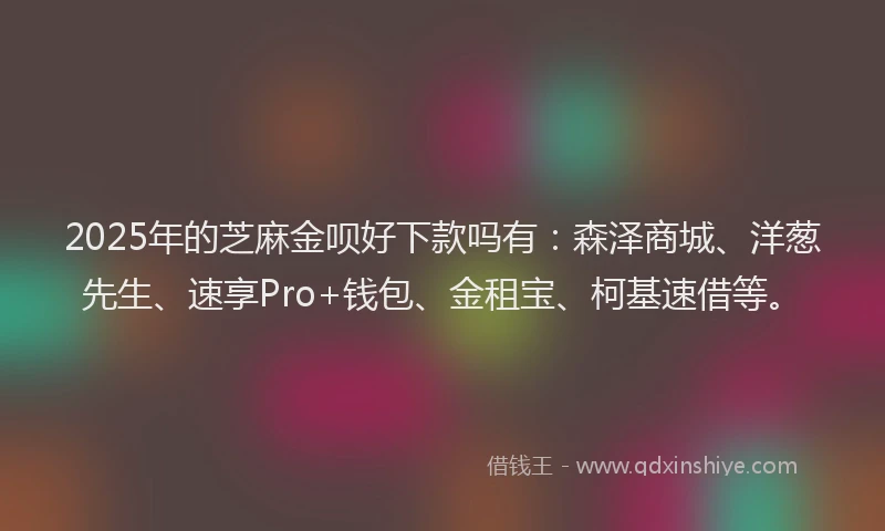 2025年的芝麻金呗好下款吗有：森泽商城、洋葱先生、速享Pro+钱包、金租宝、柯基速借等。