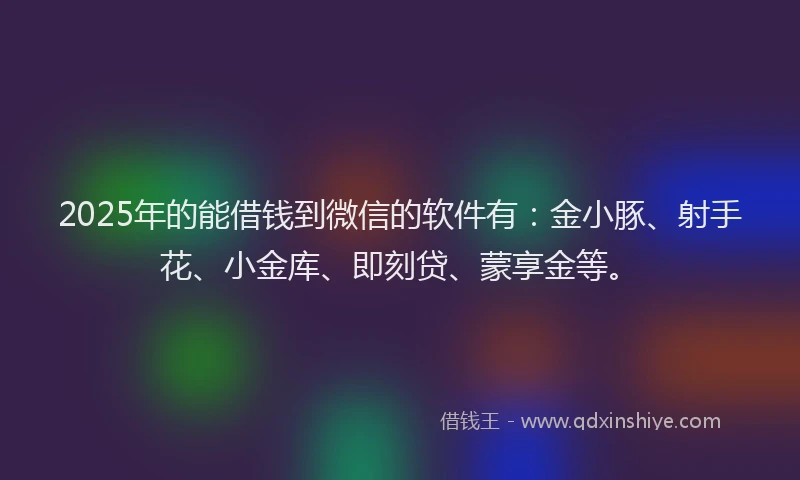 2025年的能借钱到微信的软件有：金小豚、射手花、小金库、即刻贷、蒙享金等。