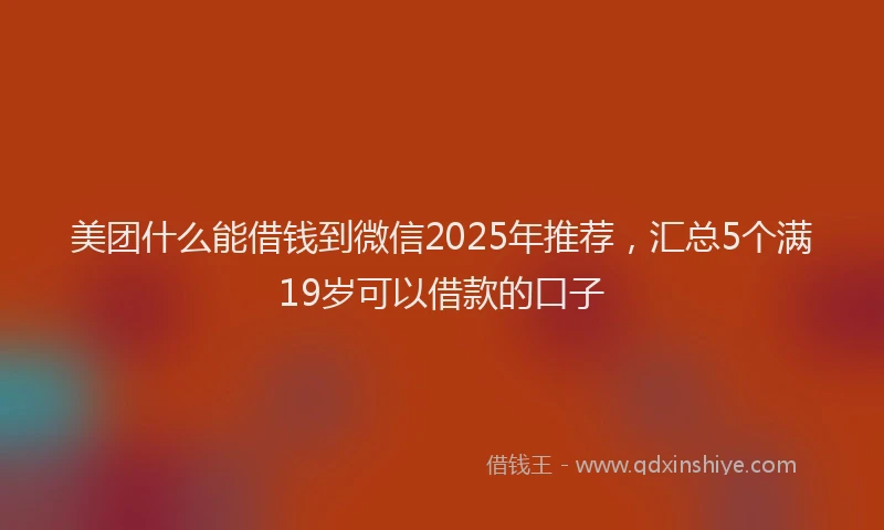 美团什么能借钱到微信2025年推荐，汇总5个满19岁可以借款的口子