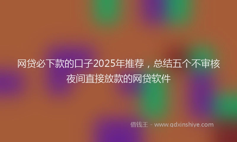 网贷必下款的口子2025年推荐，总结五个不审核夜间直接放款的网贷软件