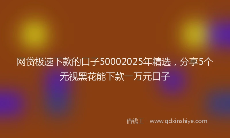 网贷极速下款的口子50002025年精选，分享5个无视黑花能下款一万元口子