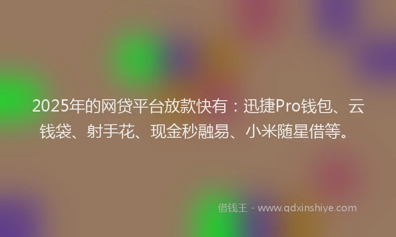 2025年的网贷平台放款快有：迅捷Pro钱包、云钱袋、射手花、现金秒融易、小米随星借等。