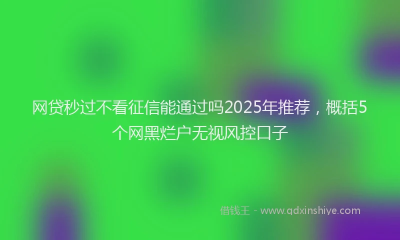 网贷秒过不看征信能通过吗2025年推荐，概括5个网黑烂户无视风控口子