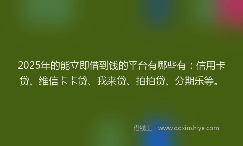 2025年的能立即借到钱的平台有哪些有：信用卡贷、维信卡卡贷、我来贷、拍拍贷、分期乐等。