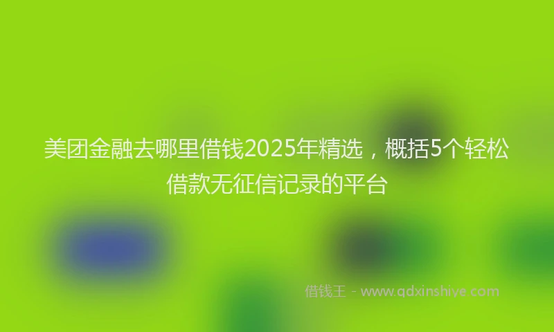 美团金融去哪里借钱2025年精选，概括5个轻松借款无征信记录的平台