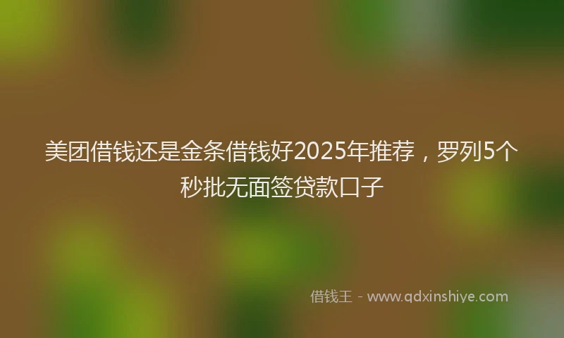 美团借钱还是金条借钱好2025年推荐，罗列5个秒批无面签贷款口子