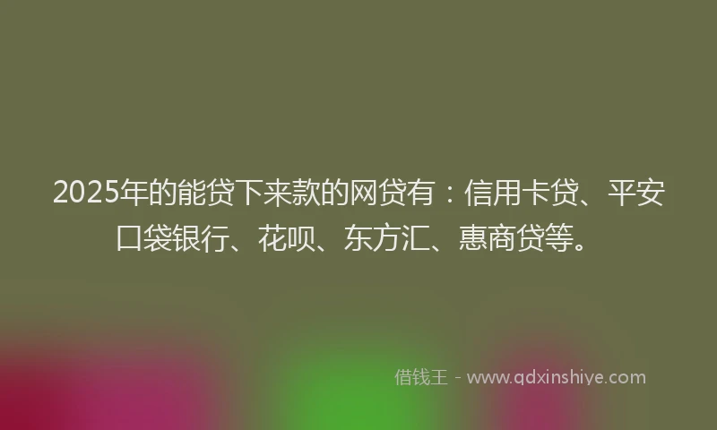 2025年的能贷下来款的网贷有：信用卡贷、平安口袋银行、花呗、东方汇、惠商贷等。