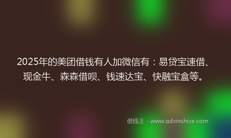 2025年的美团借钱有人加微信有：易贷宝速借、现金牛、森森借呗、钱速达宝、快融宝盒等。