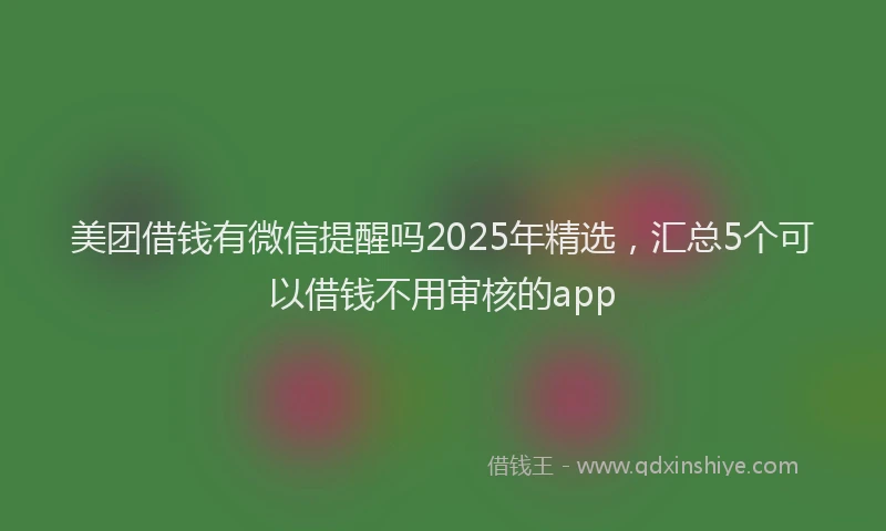 美团借钱有微信提醒吗2025年精选，汇总5个可以借钱不用审核的app