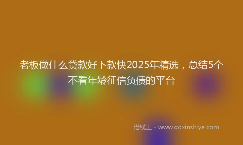 老板做什么贷款好下款快2025年精选，总结5个不看年龄征信负债的平台
