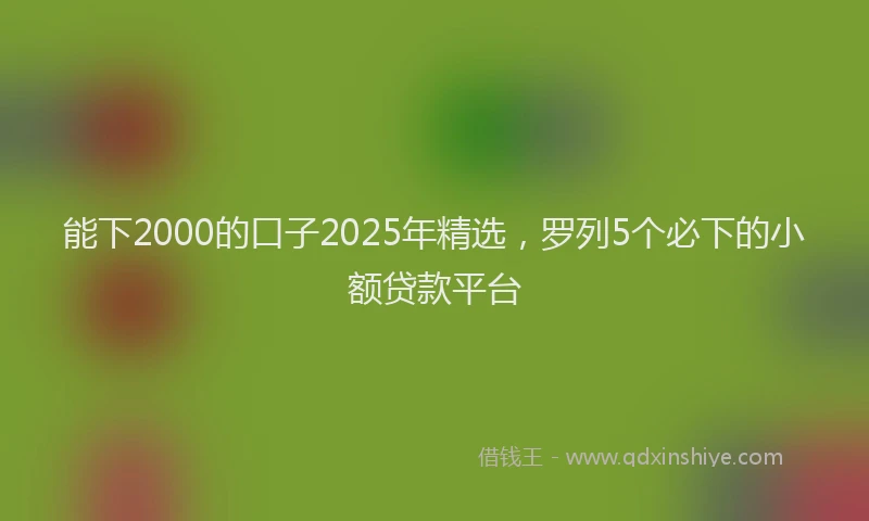 能下2000的口子2025年精选，罗列5个必下的小额贷款平台