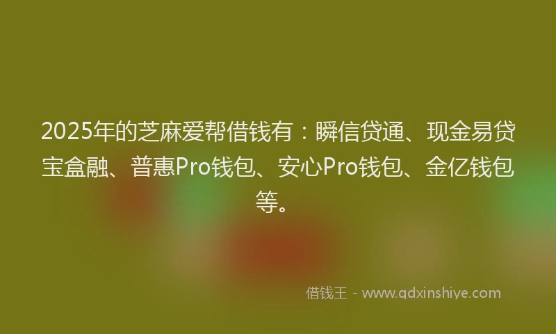 2025年的芝麻爱帮借钱有：瞬信贷通、现金易贷宝盒融、普惠Pro钱包、安心Pro钱包、金亿钱包等。