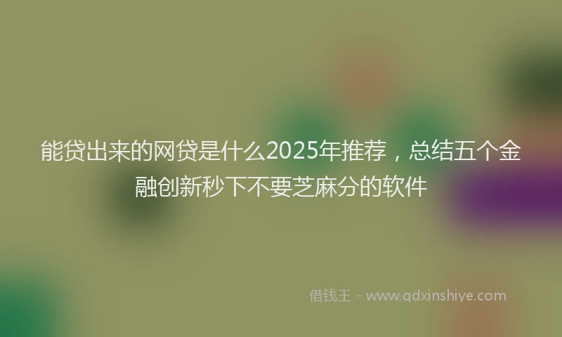 能贷出来的网贷是什么2025年推荐，总结五个金融创新秒下不要芝麻分的软件