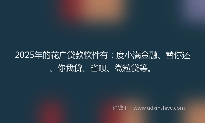 2025年的花户贷款软件有：度小满金融、替你还、你我贷、省呗、微粒贷等。