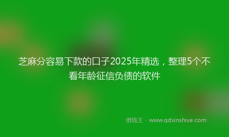 芝麻分容易下款的口子2025年精选，整理5个不看年龄征信负债的软件
