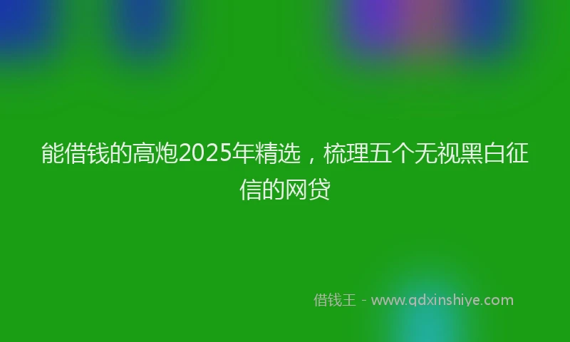 能借钱的高炮2025年精选，梳理五个无视黑白征信的网贷