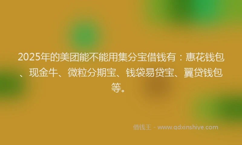 2025年的美团能不能用集分宝借钱有：惠花钱包、现金牛、微粒分期宝、钱袋易贷宝、翼贷钱包等。
