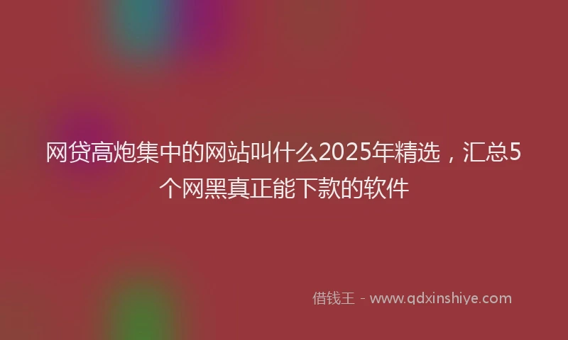 网贷高炮集中的网站叫什么2025年精选，汇总5个网黑真正能下款的软件