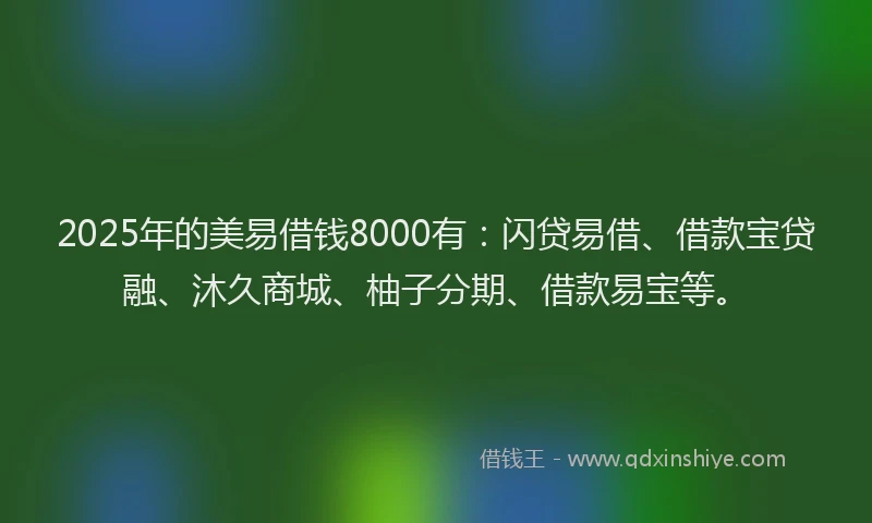 2025年的美易借钱8000有：闪贷易借、借款宝贷融、沐久商城、柚子分期、借款易宝等。