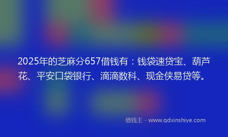 2025年的芝麻分657借钱有：钱袋速贷宝、葫芦花、平安口袋银行、滴滴数科、现金侠易贷等。