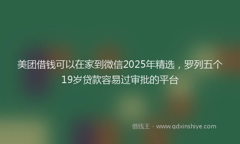美团借钱可以在家到微信2025年精选，罗列五个19岁贷款容易过审批的平台