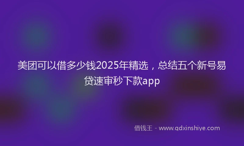 美团可以借多少钱2025年精选，总结五个新号易贷速审秒下款app